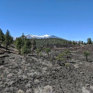 Meet your Posher, Logan